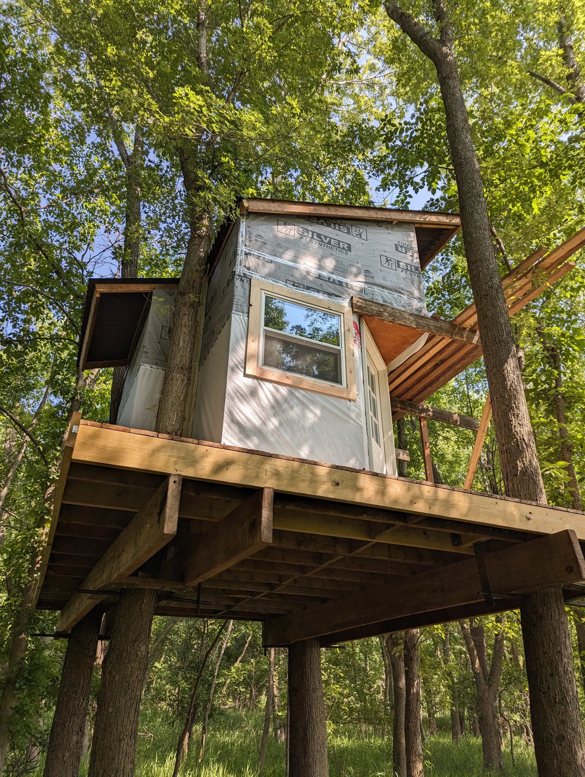 thumbnail of post Roof is up! Recapping the past week